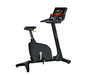 BU1000 Upright Bike by BH Fitness