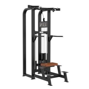 CF5019 ASSISTED CHIN DIP