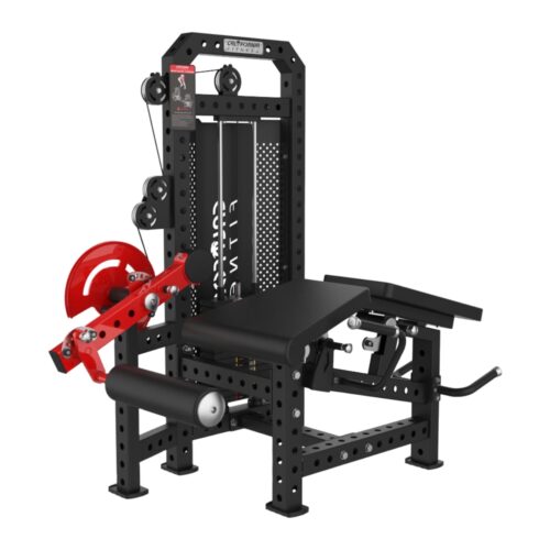 CL1021 PRONE LEG CURL / EXTENSION