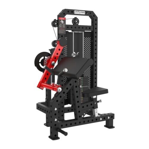CL1033 BICEP / TRICEP