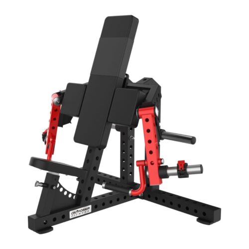 CL1042 ARM CURL