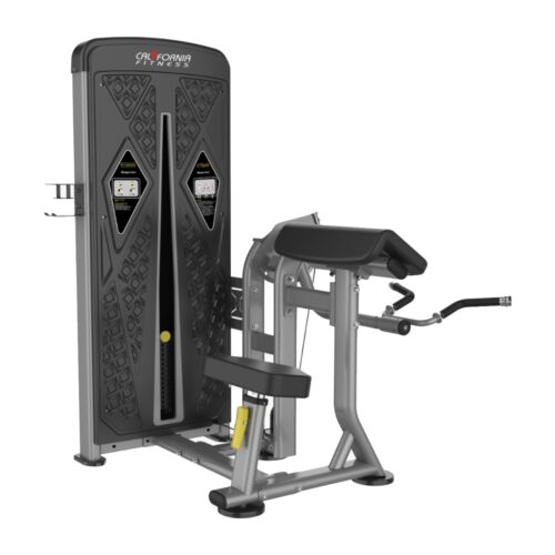 EG5503 BICEP CURL