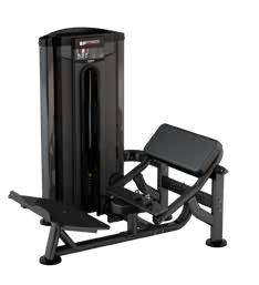 L335B Hip Thrust