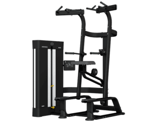 M450 Weight Assisted Chin / Dip by BH Fitness
