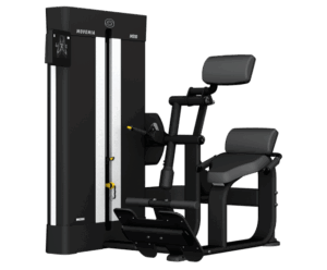 M510 Back Extension by BH Fitness