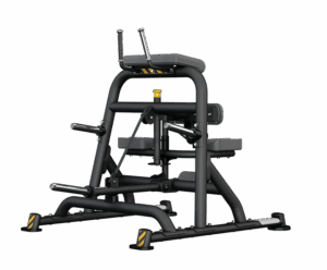 PL170B Leg Curl by BH Fitness