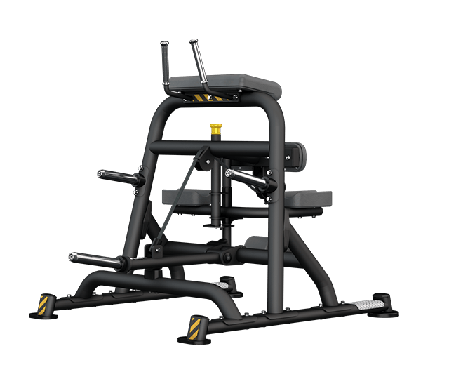 PL170B Leg Curl by BH Fitness