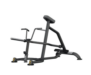 PL290B T-Bar Row by BH Fitness