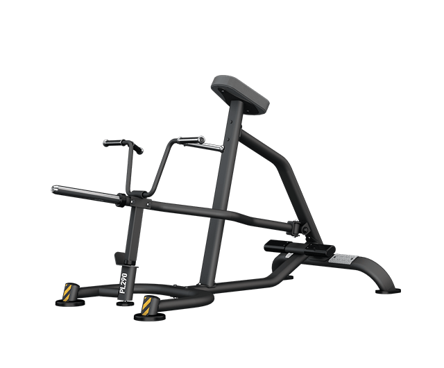 PL290B T-Bar Row by BH Fitness