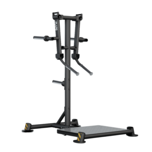 PL490B Standing Lateral Raise