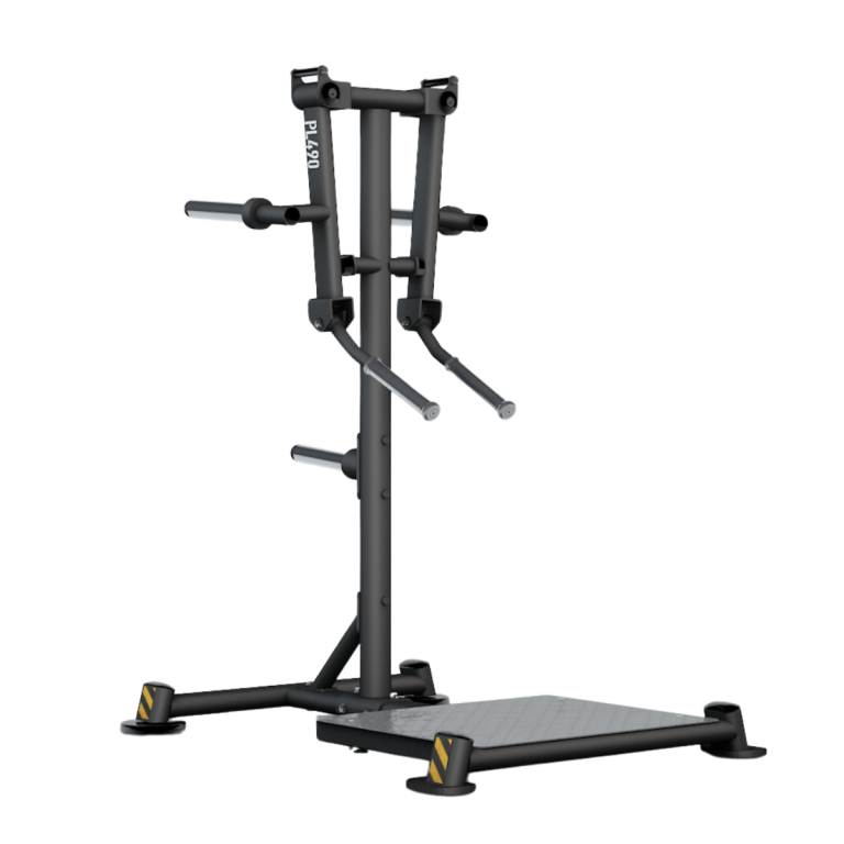PL490B Standing Lateral Raise