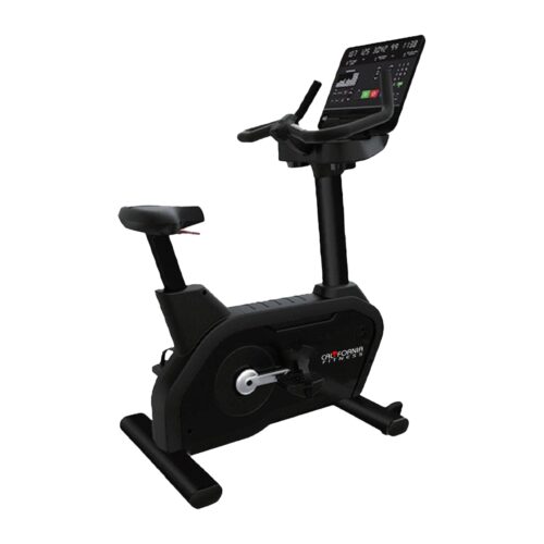 U300 COMMERCIAL UPRIGHT BIKE