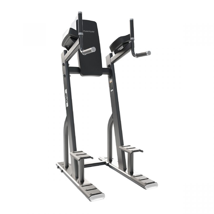 EVO 8010 Vertical Knee Raise / Dip Stand