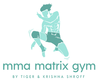 MMA Matrix Gym by Tiger Shroff and Krishna Shroff
