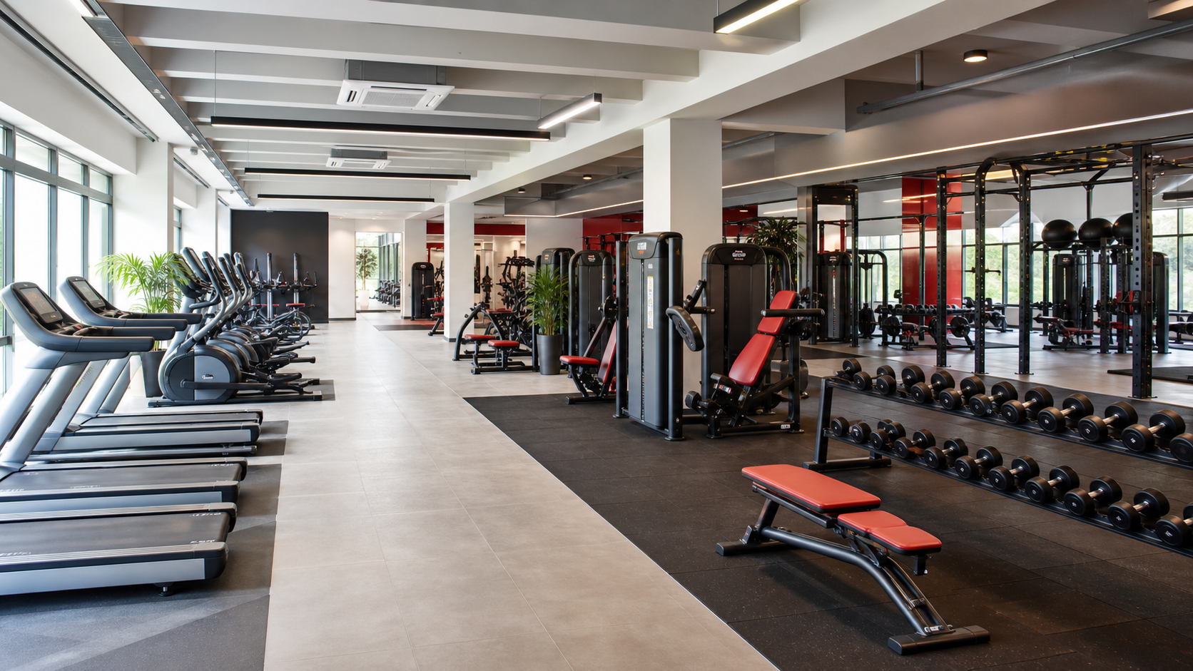 Commercial gym equipment layout with cardio, strength and free-weight zones in Gujarat